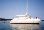 TriStar CAT 34 Anchor